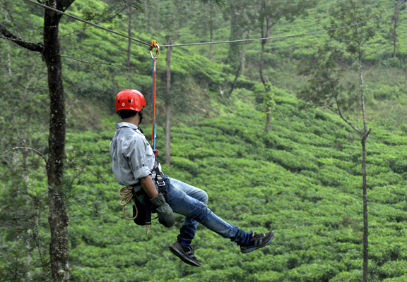 Terrace Resorts